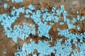Rustic hardboard texture with scratches, cracks and blue peeling paint. Grunge background Royalty Free Stock Photo