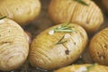 Rustic Hasselback potatoes with herbs, garlic and salt, vegetarian good quality food Royalty Free Stock Photo