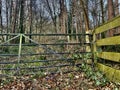 Rustic hidden forest gate Royalty Free Stock Photo