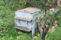 Rustic hive with open lid near an apple tree Royalty Free Stock Photo