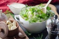 Rustic homemade cottage cheese in a ceramic plate. Top with parsley and dill. Cream in the sauce bowl