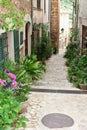 Rustic alleyway with flowerpots in Fornalutx, Majorca, Spain Royalty Free Stock Photo