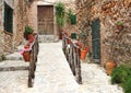 Rustic Mediterranean alleyway with flowers and plants Royalty Free Stock Photo