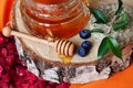 Rustic honey with a spoon on birch saw cut Royalty Free Stock Photo