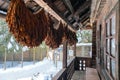 Rustic house in village near the forest. Installation in museums of traditional rural country