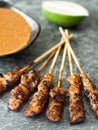 Rustic indonesian satay meat skewer