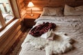 Cozy winter weekend in log cabin Royalty Free Stock Photo