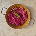 Rustic iron plate with purple plants