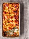 Rustic italian baked spinach ricotta cannelloni pasta Royalty Free Stock Photo