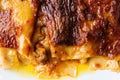 Rustic italian crispy crust bolognese lasagna comfort food