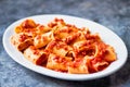 Rustic italian paccheri pasta in tomato sauce