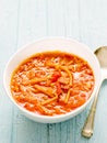 Rustic italian pancetta onion pasta soup