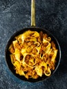 Rustic italian pappardelle bolognese pasta in meat sauce Royalty Free Stock Photo