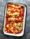 Rustic italian spinach ricotta cannelloni pasta Royalty Free Stock Photo