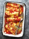 Rustic italian spinach ricotta cannelloni pasta Royalty Free Stock Photo