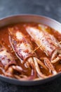Rustic italian stuffed calamari in tomato sauce Royalty Free Stock Photo