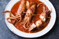 Rustic italian stuffed calamari in tomato sauce Royalty Free Stock Photo