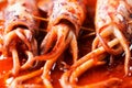Rustic italian stuffed calamari in tomato sauce Royalty Free Stock Photo