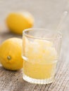 Rustic italian summer dessert lemon granita Royalty Free Stock Photo