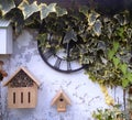 Rustic Ivy Clock @ Crookham, Northumberland, England.