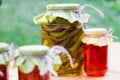 Rustic jars of homemade delicacies Royalty Free Stock Photo