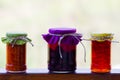 Rustic jars of homemade delicacies Royalty Free Stock Photo