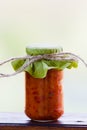 Rustic jars of homemade delicacies Royalty Free Stock Photo