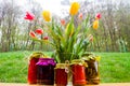 Rustic jars of homemade delicacies Royalty Free Stock Photo