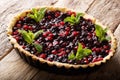 Rustic juicy tart with currant berries, blueberries and cranberries close-up on a table. horizontal Royalty Free Stock Photo