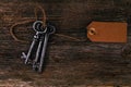 Rustic keys Royalty Free Stock Photo