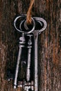 Rustic keys Royalty Free Stock Photo