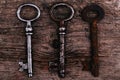 Rustic keys Royalty Free Stock Photo