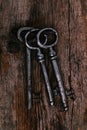 Rustic keys Royalty Free Stock Photo