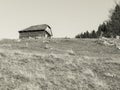Rustic landscape with an abandoned old wooden house or shelter in the Carpathain Mountains, Romania. Old vintage monochrome Royalty Free Stock Photo