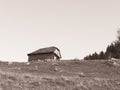 Rustic landscape with an abandoned old wooden house or shelter in the Carpathain Mountains, Romania. Old vintage monochrome Royalty Free Stock Photo