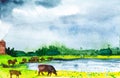 Rustic landscape cows grazing on the lake shore. Watercolor illustration Royalty Free Stock Photo