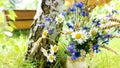 Rustic landscape with simple bouquets of wildflowers. A cute bouquet of daisies, chamomile, cornflowers and ears of wheat in a