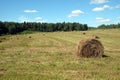 Rustic landscape with summer field with many rolled haystacks with one of it close-up