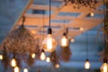 Rustic light bulb garden lights Royalty Free Stock Photo