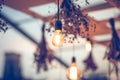 Rustic light bulb garden lights Royalty Free Stock Photo