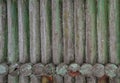 Rustic log texture with peeling paint and weathered surface