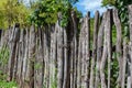 Rustic logs fence