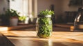 A rustic mason jar filled with fresh herbs, set on a smooth light wood counter pic Royalty Free Stock Photo