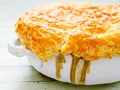 Rustic meat potpie Royalty Free Stock Photo