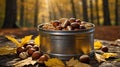 Autumn Harvest of Assorted Nuts in a Metal Bucket Surrounded by Fall Leaves in Forest Royalty Free Stock Photo