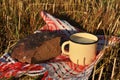 A rustic metal mug of milk and a half loaf of rye bread Royalty Free Stock Photo