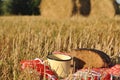 A rustic metal mug of milk and a half loaf of rye bread Royalty Free Stock Photo