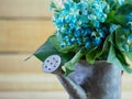 Rustic metal watering can filled with teal and white flowers with green leaves against a wooden background.  Perfect for spring Royalty Free Stock Photo