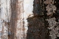 Rusty metallic background Royalty Free Stock Photo