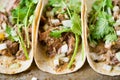 Rustic mexican american pork carnitas taco